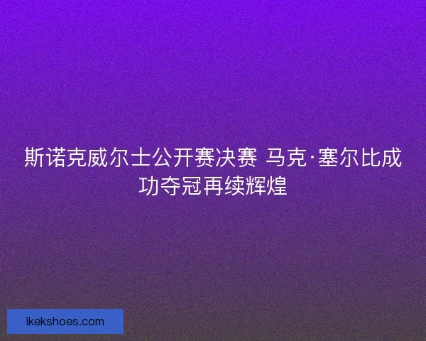 斯诺克威尔士公开赛决赛 马克·塞尔比成功夺冠再续辉煌