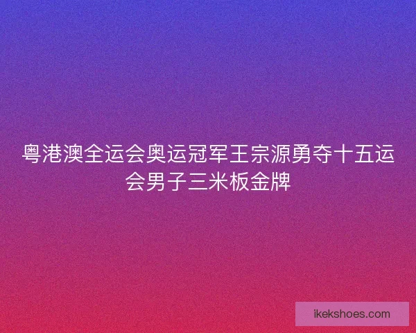 粤港澳全运会奥运冠军王宗源勇夺十五运会男子三米板金牌